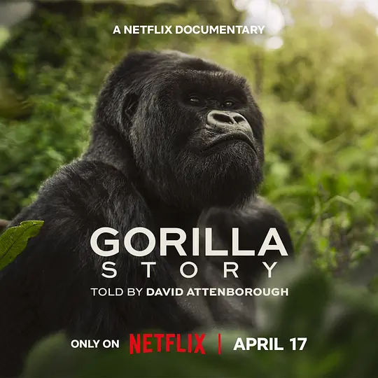 大卫·艾登堡：大猩猩的故事